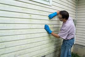 Affordable Siding Repair and Maintenance Services in Martinsburg, WV